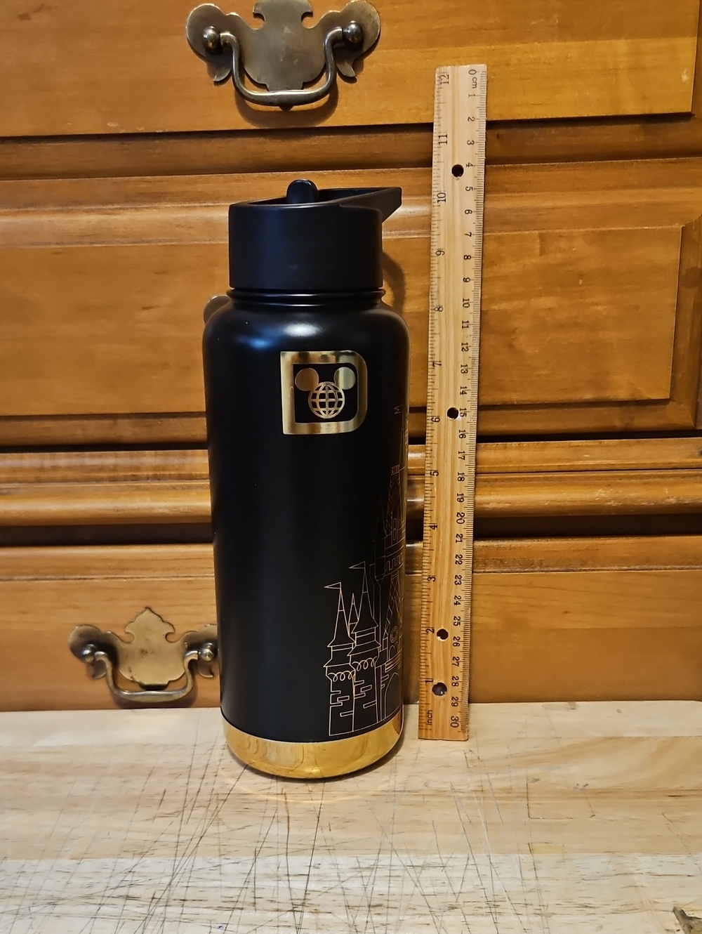 Walt Disney World Cinderella Castle Black & Gold Outline 32-oz Tumbler Bottle